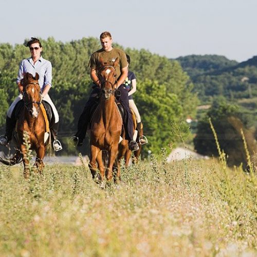 Horse Riding tour from Split