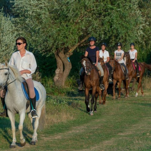 Horse Riding tour from Split