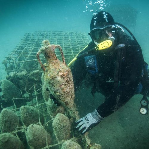 Diving with wine tasting tour