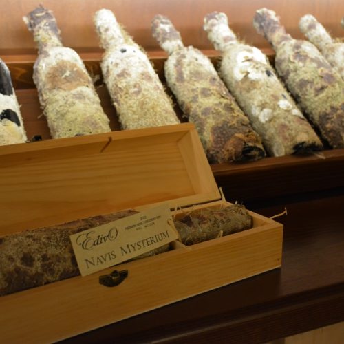 Diving with wine tasting tour