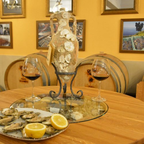 Diving with wine tasting tour