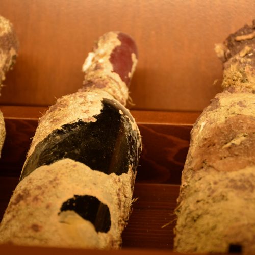 Diving with wine tasting tour