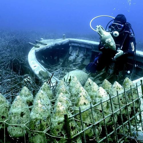 Diving with wine tasting tour