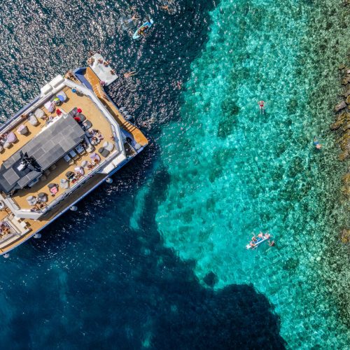 Blue Lagoon Half-Day Catamaran Tour