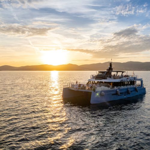 Blue Lagoon Half-Day Catamaran Tour