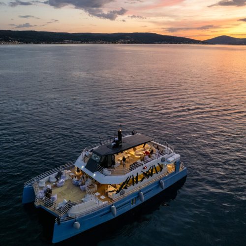 Blue Lagoon Half-Day Catamaran Tour